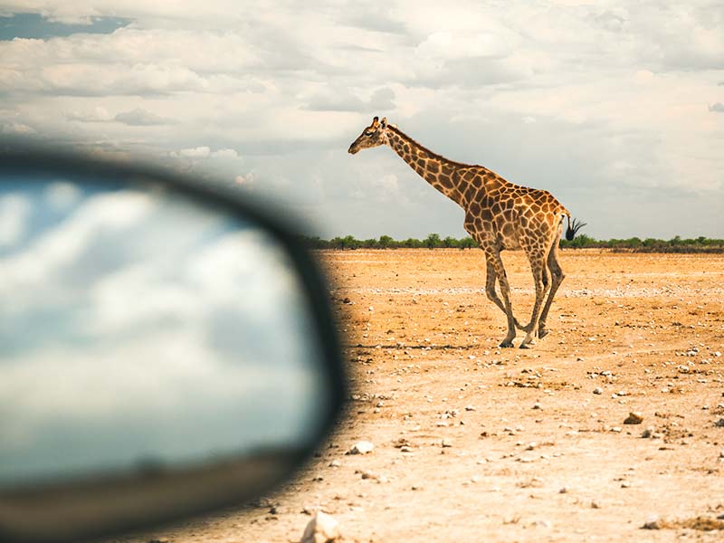 Tarieven-Autohuur-Namibië-Asco-Car-Hire