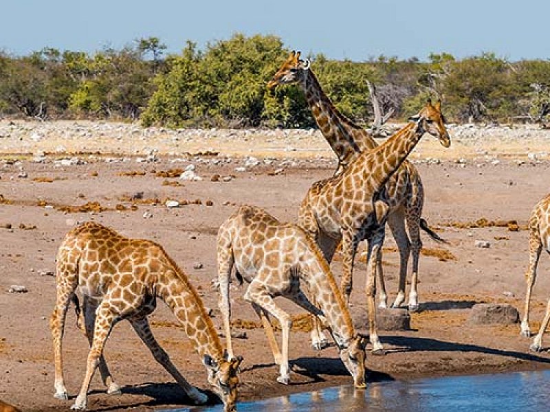 Prijzen-Autoverhuur-Namibië-Asco-Car-Hire