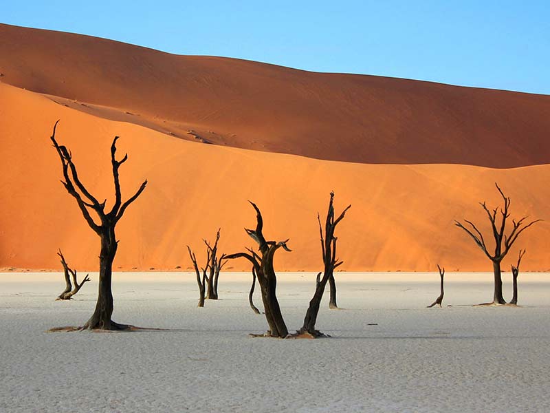 Rates-Car-Hire-Namibia-Asco-Car-Hire