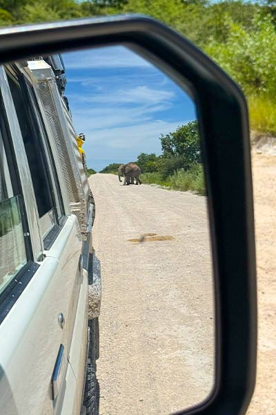 asco-car-hire-namibia-guarantee-scheme-and-emergency-fund