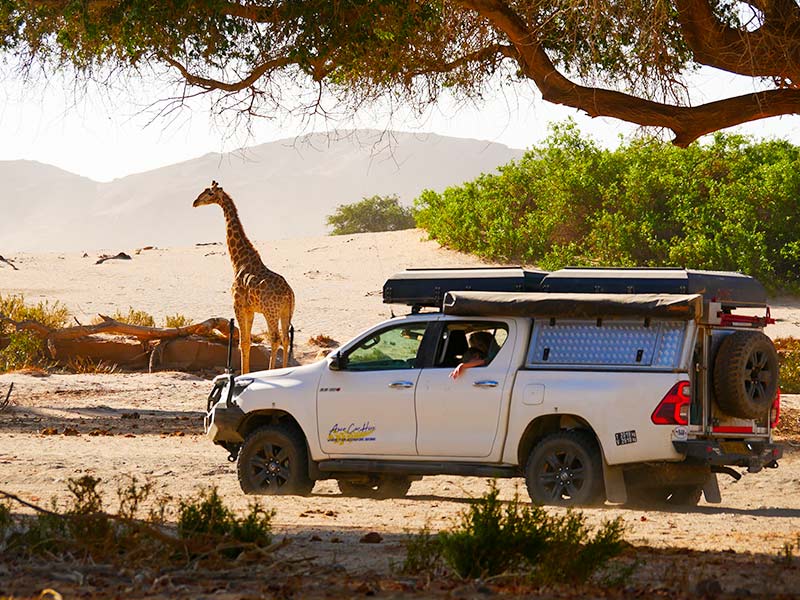 Reisespezialisten Für Selbstfahrerreisen Durch Namibia Und Südliches Afrika