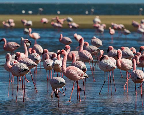 Rates-Car-Hire-Namibia-Asco-Car-Hire